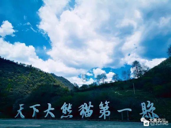 道路交通连连看第三章