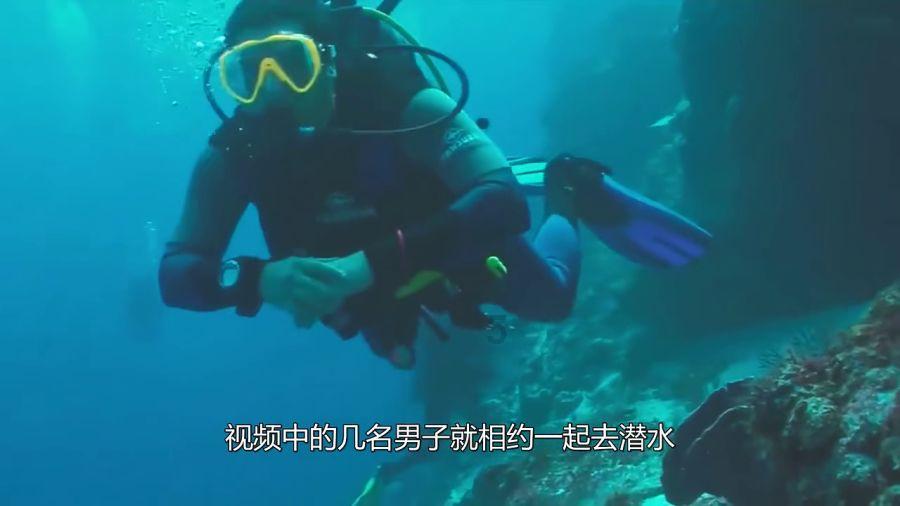 铲子骑士