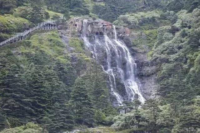 荒野大镖客救赎2