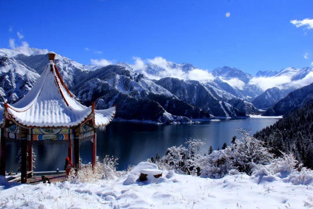 归家异途